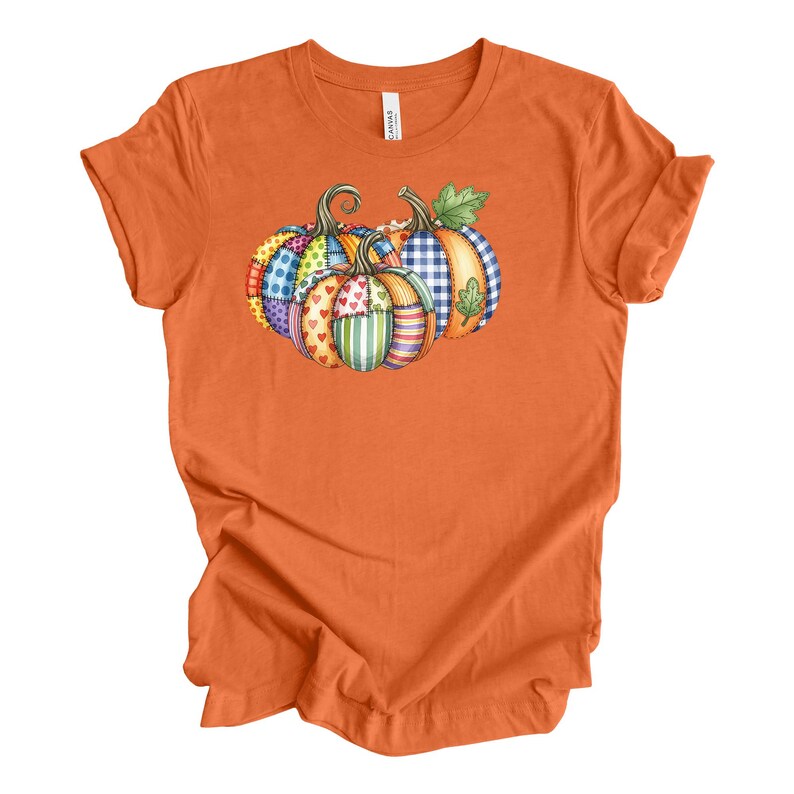 Pu&ograve; includere: T-shirt arancione con un'illustrazione ad acquerello di tre zucche. Le zucche hanno un design patchwork con vari motivi, tra cui cuori, strisce e quadri. La maglietta &egrave; realizzata in un materiale morbido.