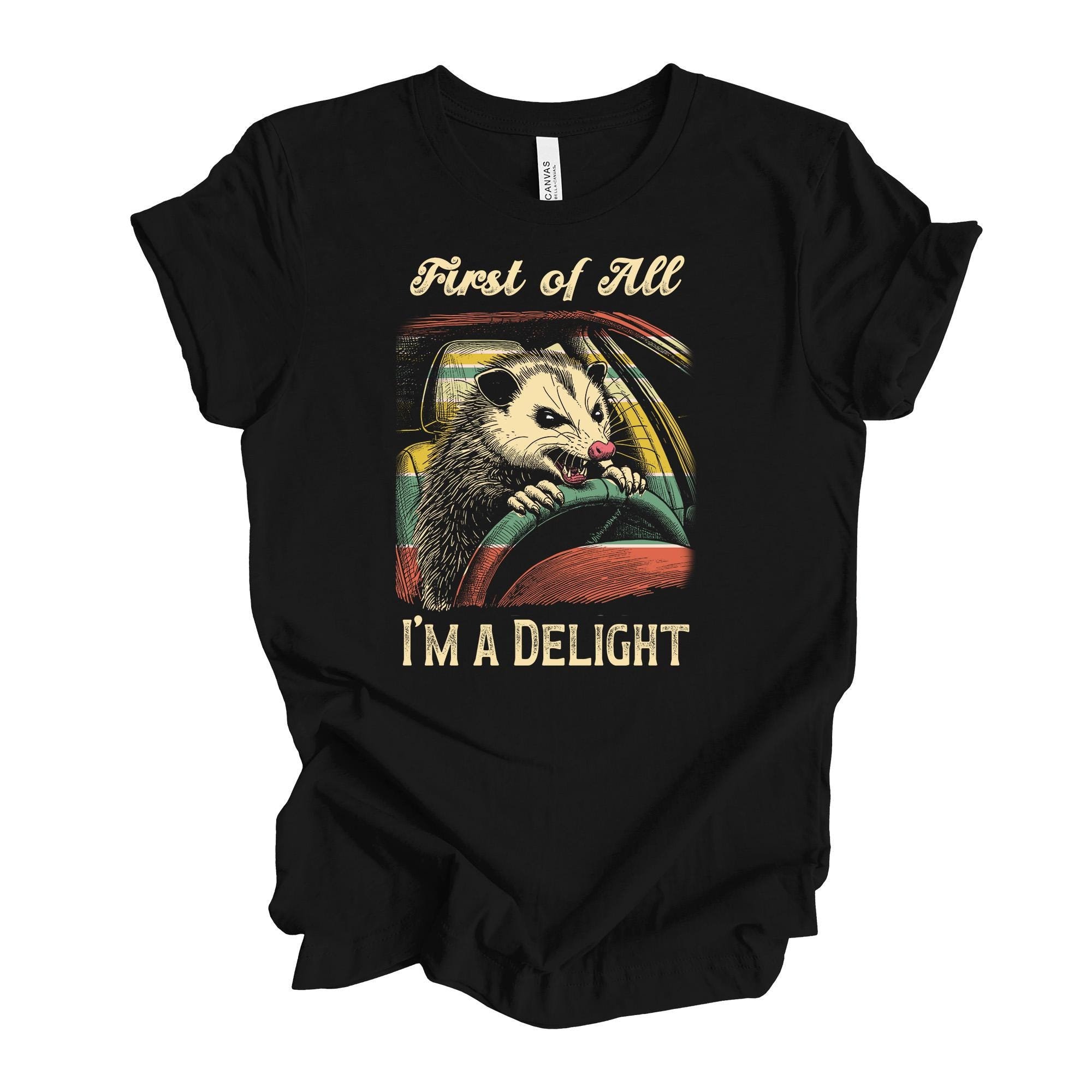 I'm A Delight Vintage Funny Sarcastic Quote T-Shirt - Unisex Sarcasm Tee Gift For Women & Men