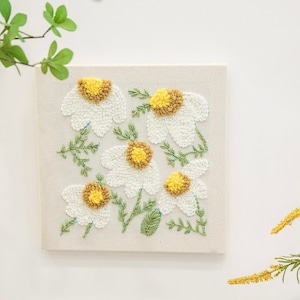 Punch Needles Start Kit/ Beginner Punch Needle Kit with Adjustable Punch Needle/ Punch Needle Kit with Yarn / Daisy / Spring