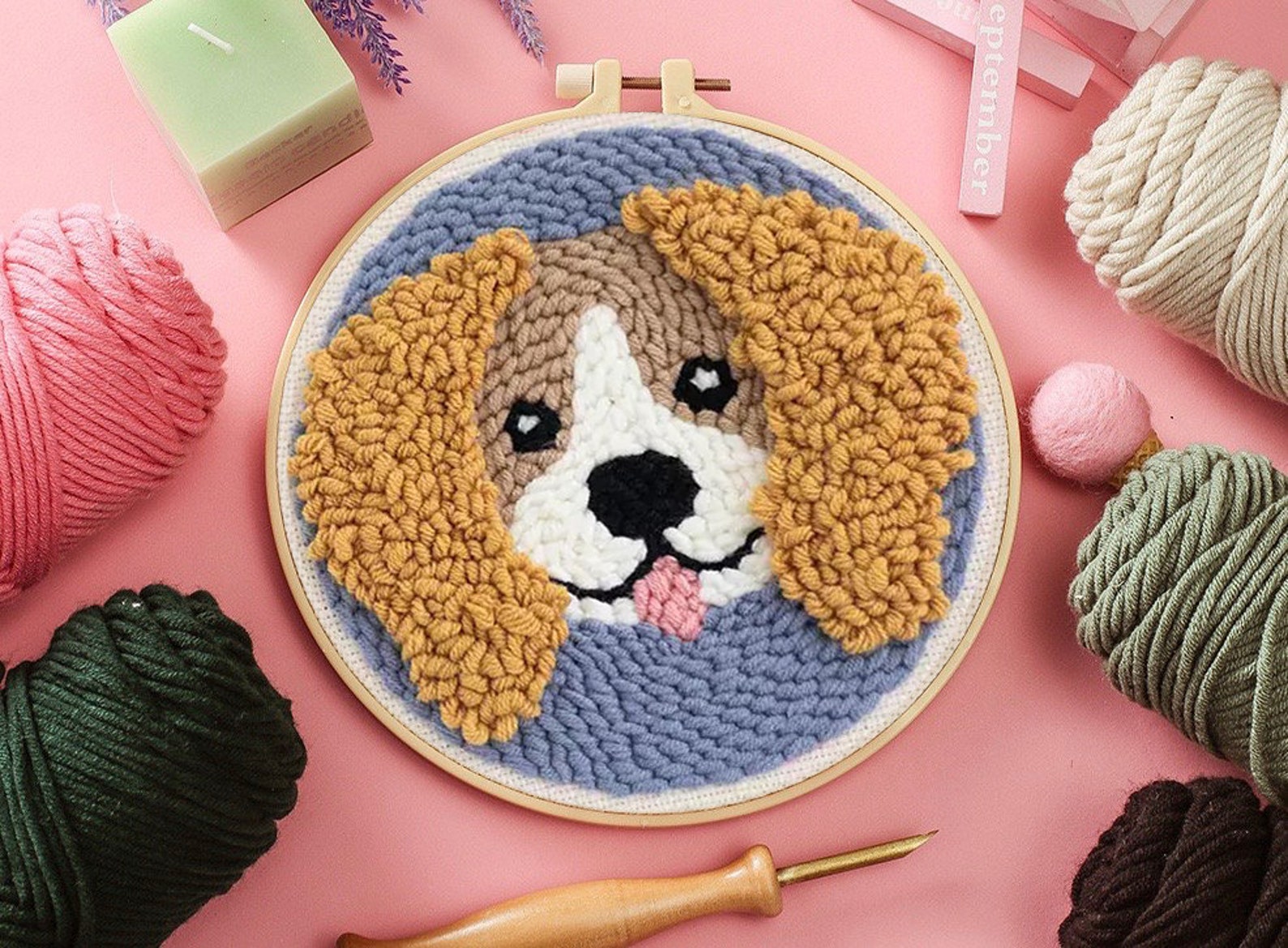 Punch Needles Start Kit/ Beginner Punch Needle Kit With Etsy