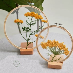 Plants Transparent Embroidery Kit for Beginner,Flower diy Kit, Beginner Hand Embroidery Full Kit ,Diy Start Up Embroidery Set with Pattern