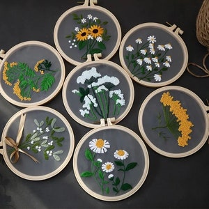 Plants Transparent Embroidery Kit for Beginner,Flower diy Kit, Beginner Hand Embroidery Full Kit ,Diy Start Up Embroidery Set with Pattern