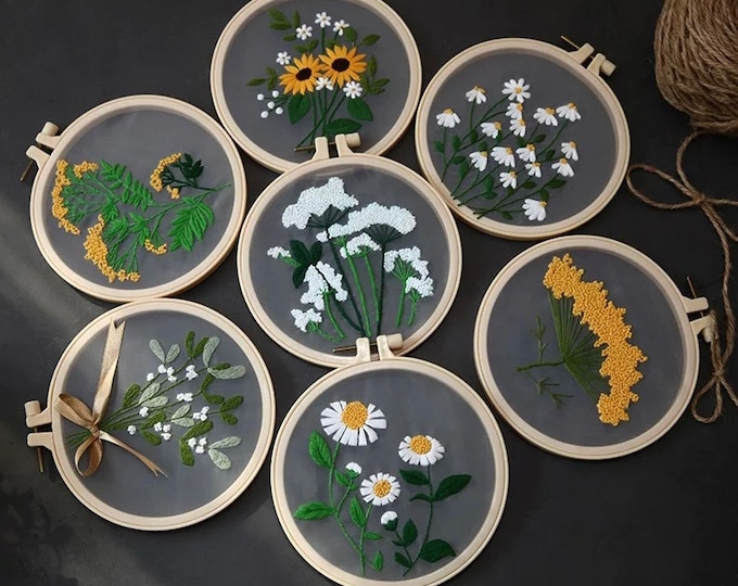 Plants Transparent Embroidery Kit for Beginner,Flower diy Kit, Beginner Hand Embroidery Full Kit ,Diy Start Up Embroidery Set with Pattern