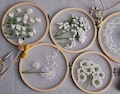 Plants Transparent Embroidery Kit for Beginner,Flower diy Kit, Beginner Hand Embroidery Full Kit ,Diy Start Up Embroidery Set with Pattern