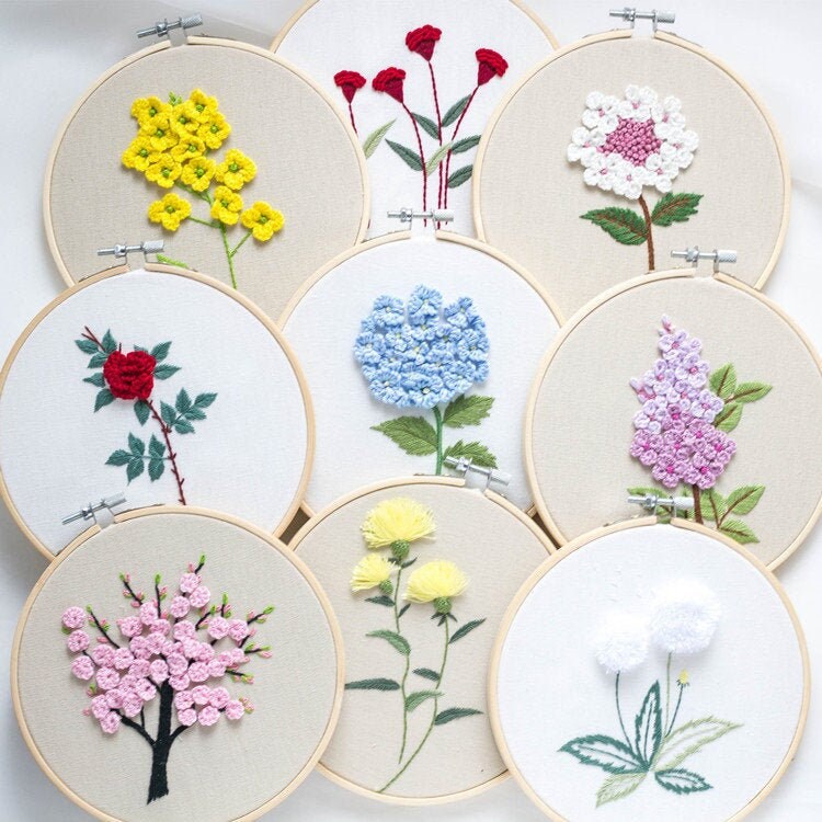 Embroidery Kit For Beginner Modern Embroidery Kit with Pattern