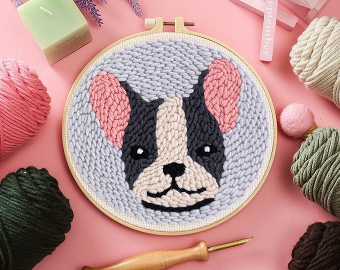Punch Needle Embroidery Hoop Kit –