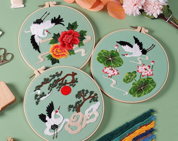 Embroidery Kit For Beginner | Modern Crewel Embroidery Kit with Pattern | Floral  Embroidery Full Kit with Needlepoint Hoop| DIY Craft Kit