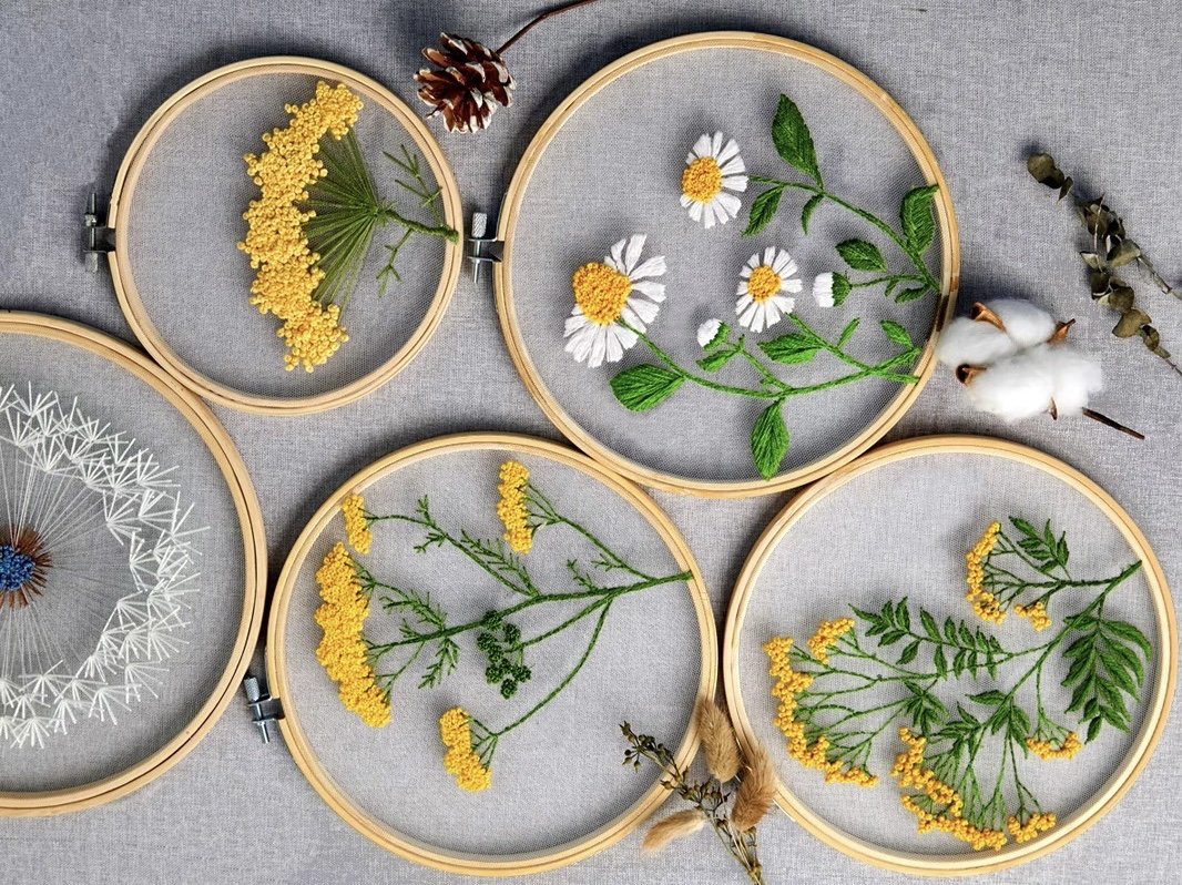 Plants Transparent Embroidery Kit for Beginner,flower Diy Kit,beginner Hand  Embroidery Full Kit ,diy Start up Embroidery Set English Guide 