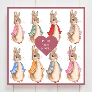 Téléchargement immédiat, lot de 8 lapins Pierre dans des vestes de couleurs différentes, clipart chambre d'enfant, PNG, baby shower, nouveau-né, baptême