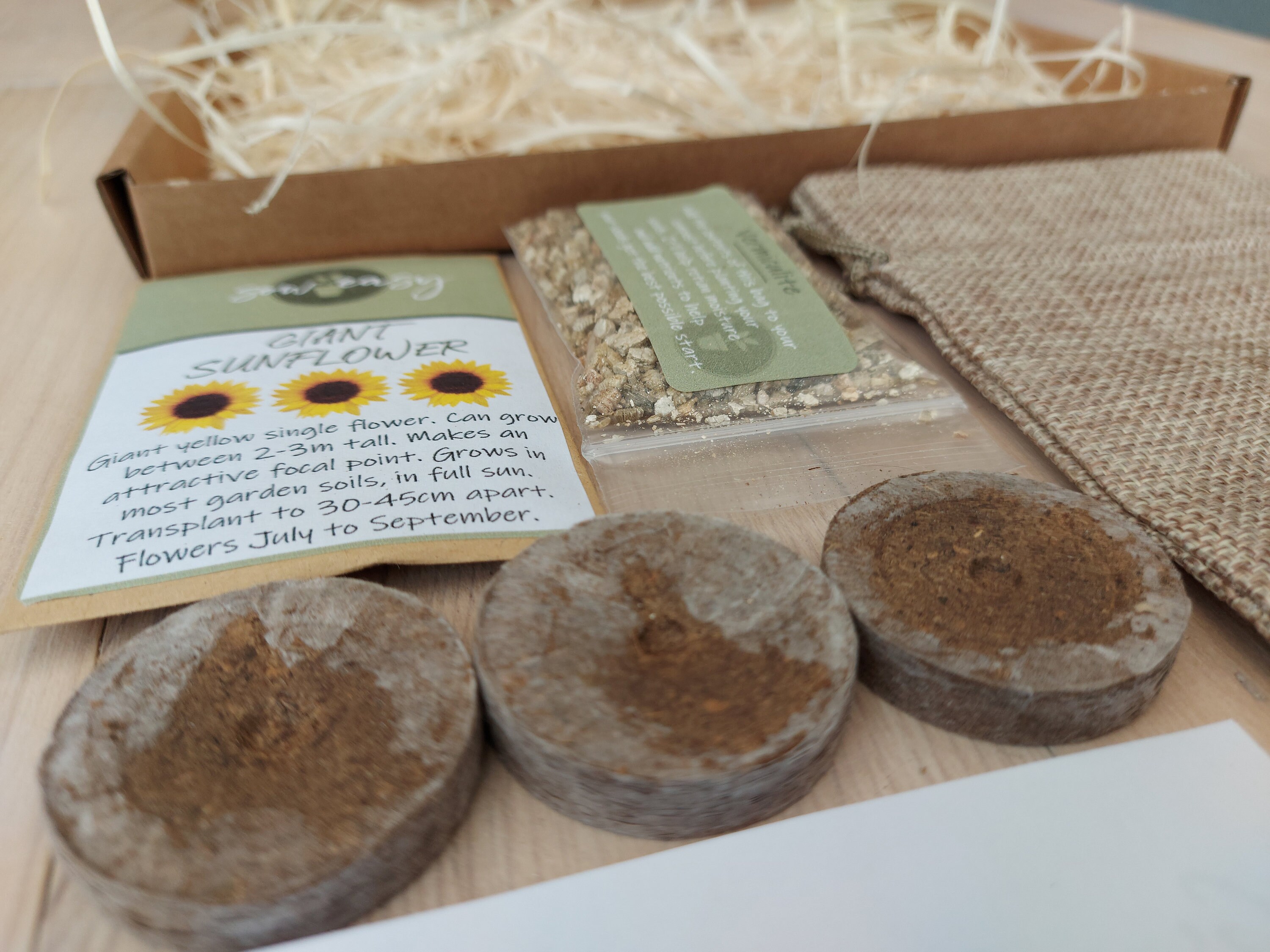 Real Sunflower Gift Set Complete Kit with Growing Etsy