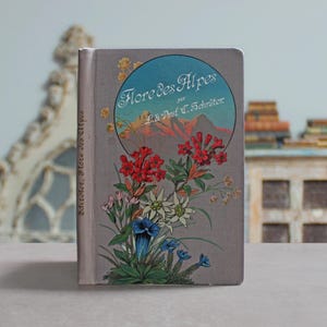 Flowers of the Alps 1904 (Trilingual: English, French, German) *Color Illustrated* Rare Antique Edwardian Old Book Plant Reference (Botany)