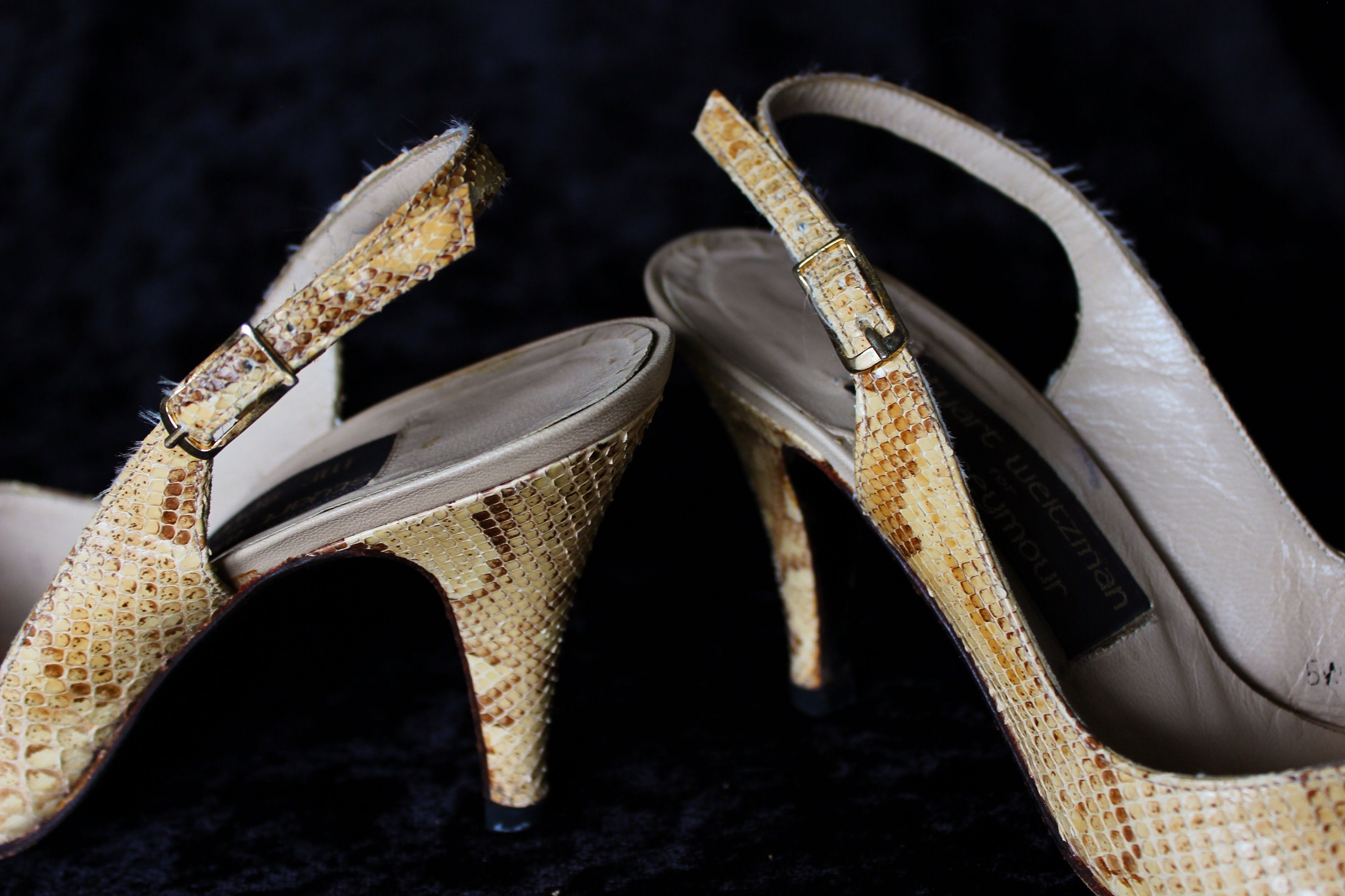 Vintage Stuart Weitzman Snakeskin Kitten Heels Pumps for | Etsy