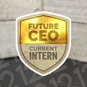 May include: A gold and beige shield-shaped sticker with the words "FUTURE CEO" in gold lettering above "CURRENT INTERN" in a darker gold font. The sticker has a white border and a textured background.