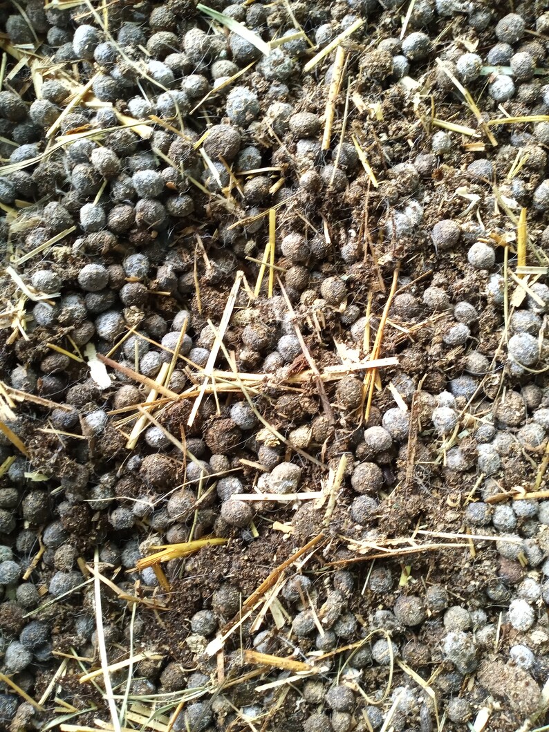 Rabbit Manure Fertilizer 3lb Bag Etsy