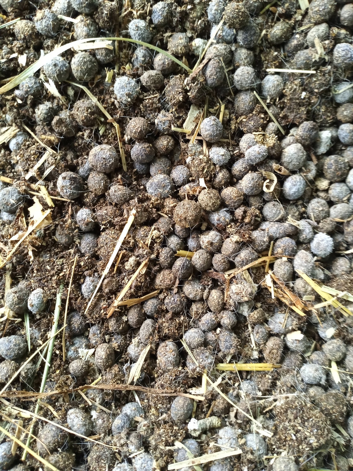 Rabbit Manure Fertilizer 8lb Bag 211 Etsy