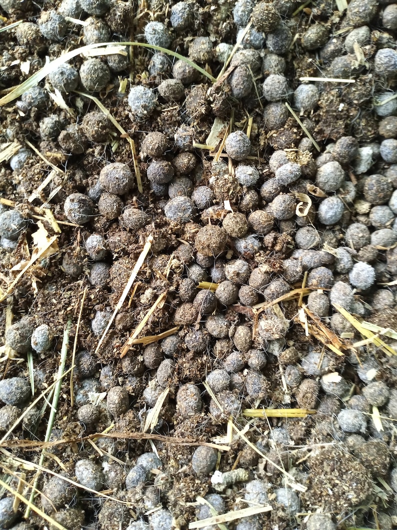 Dried Rabbit Manure Fertilizer 8lb Bag 211 Etsy