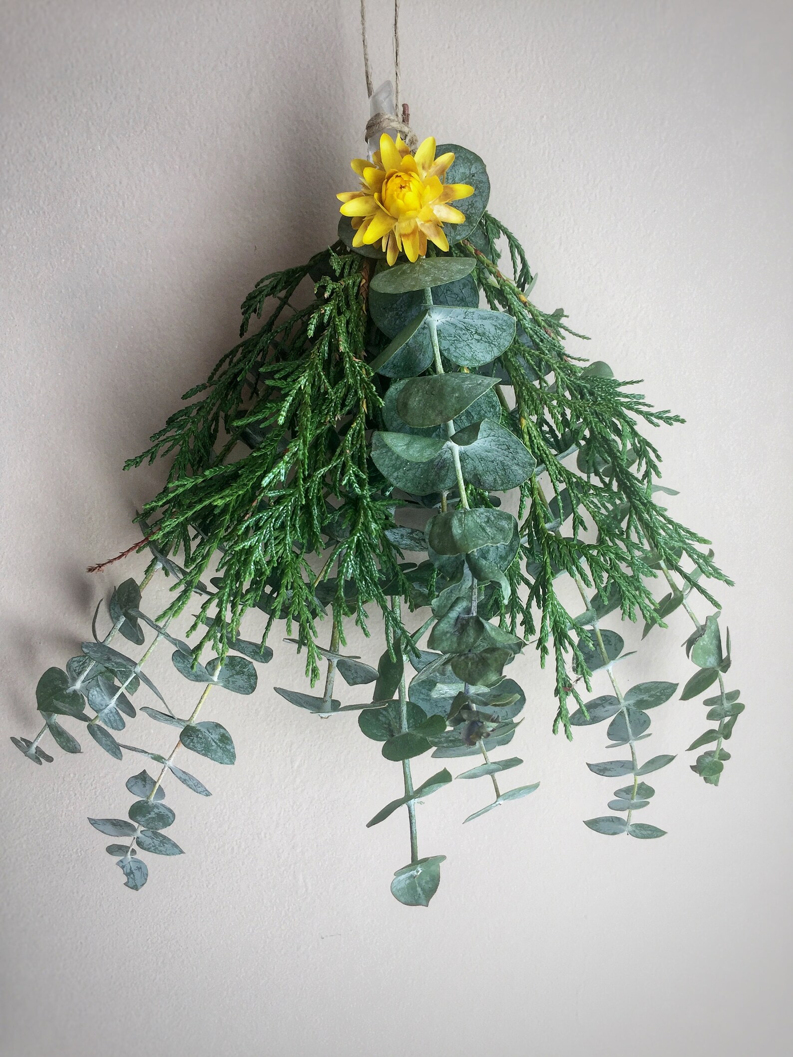 CALM Eucalyptus Bath Bouquet Shower Bundle Home Spa Fresh Etsy