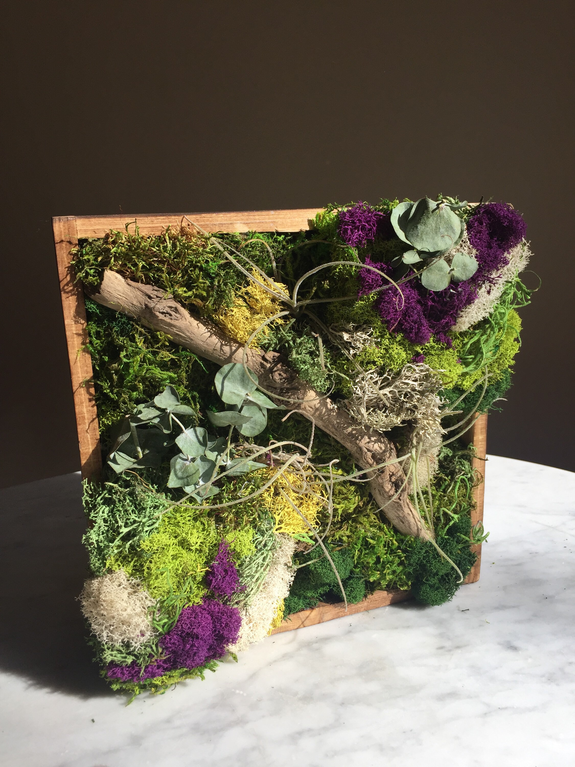 Moss Wall Art Preserved Moss Driftwood Art Moss Home Decor Etsy