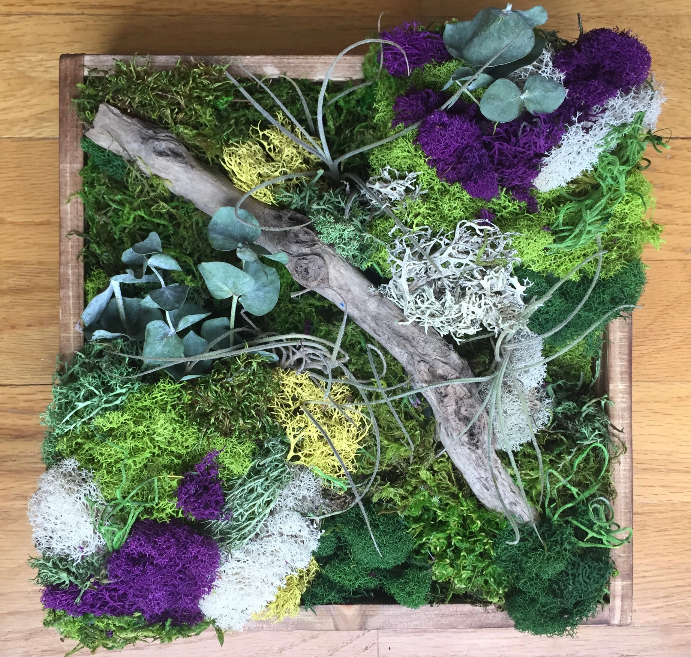 Moss Wall Art Preserved Moss Driftwood Art Moss Home Decor Etsy