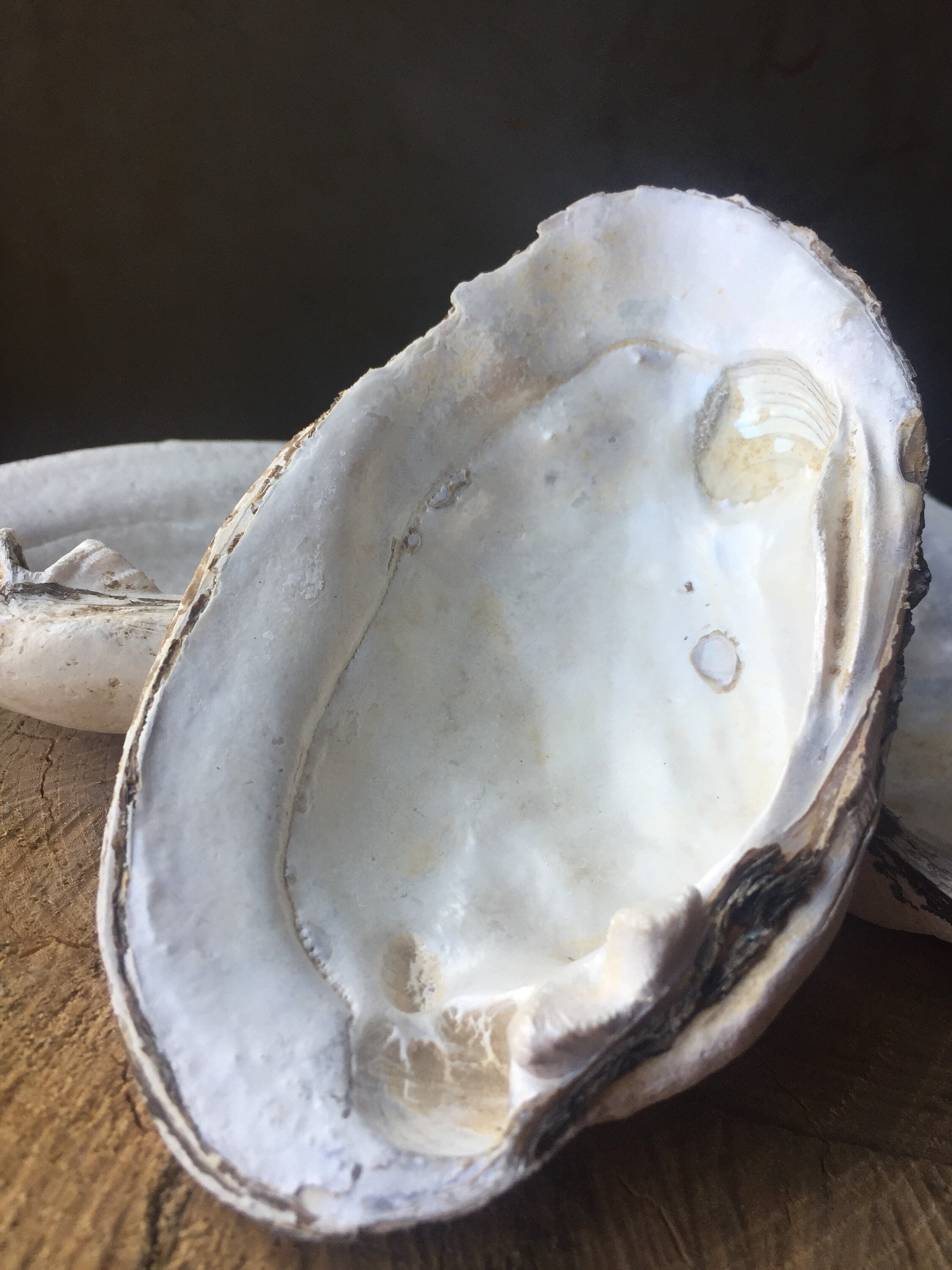 How To Cook Abalone In Shell