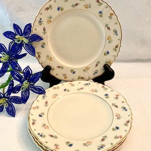 Set(4) Lovely Syracuse China  Suzanne Pattern Bread & ButterPlates