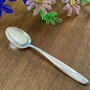 May include: A silver spoon with a long, slender handle and an oval bowl. The spoon is set against a wooden surface, with beaded floral decorations in the background. The spoon is likely for serving.