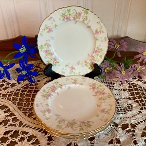 Set(4) Lovely Syracuse China Stansbury Bread & Butter Plates
