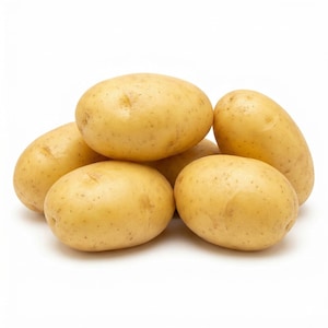 Votaniki's Yukon Gold Seed Potatoes for Planting Vegetable Seeds Golden Flesh Early Harvest Garden Tubers High Yield Home Gardening Full Sun