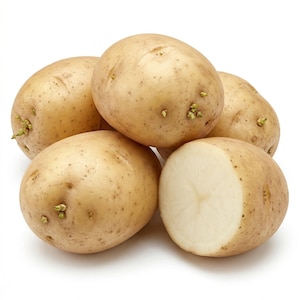 Votaniki Superior White Seed Potatoes for Planting Early Season High Yield Chipping Cooking Potatoes Garden Grow Kits Full Sun Vegetable Gar