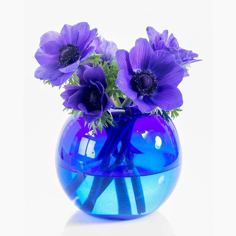 Votaniki Mr. Fokker Anemone Bulbs - Thumbnail 3