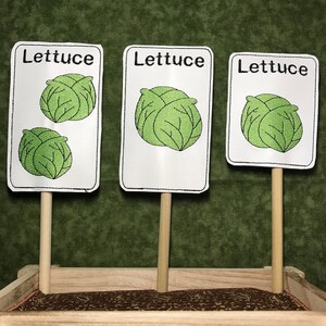 May include: Three white signs with the word "Lettuce" printed on them. Each sign has a green lettuce illustration. The signs are attached to wooden sticks and are placed in a wooden planter box.