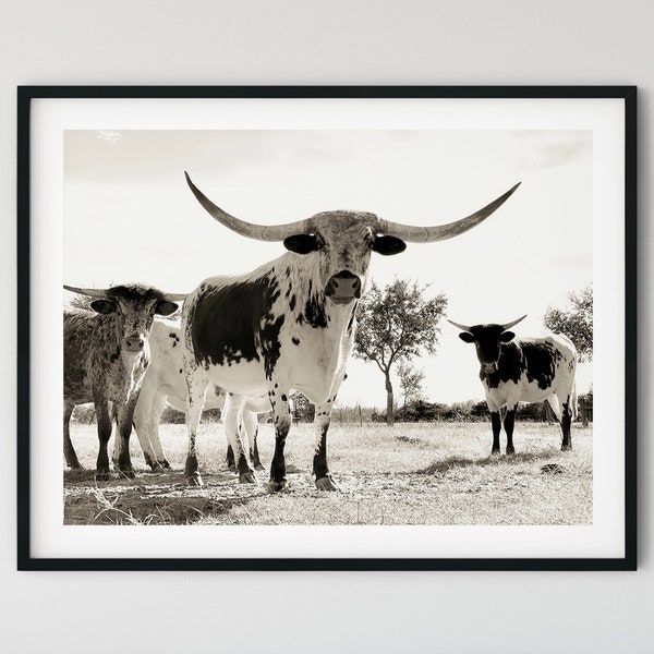 Longhorn Cow Print, Printable, Rustic Wall Decor, Ranch Print, Farm Print, Modern Farm Art, Longhorn