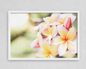 Hawaiian Plumeria Flower Print, Beach Wall Art (Digital Download)