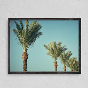 Palm Tree Print, Printable, Beach Wall Decor, Beach Print, Hawaii Print, California, Tropical, Palm Trees