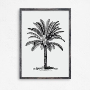 Vintage Palm Tree Print, Printable, Beach Wall Decor, Beach Print, Hawaii Print, Vintage Florida, Island