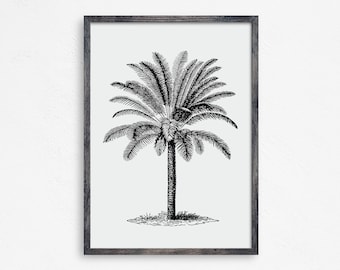 Vintage Palm Tree Art Print, Beach Wall Decor (Digital Download)