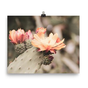 Beautiful Blooming Cactus Wall Print (various sizes), Gallery Style Wall Decor  Desert Print, Modern Print, Gallery Print