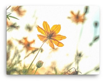 Gelbe Kosmos Blumen Leinwanddruck, Boho Wandkunst