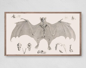 Vintage Halloween Bat Skeleton, Samsung Frame TV Art (Digital Download)
