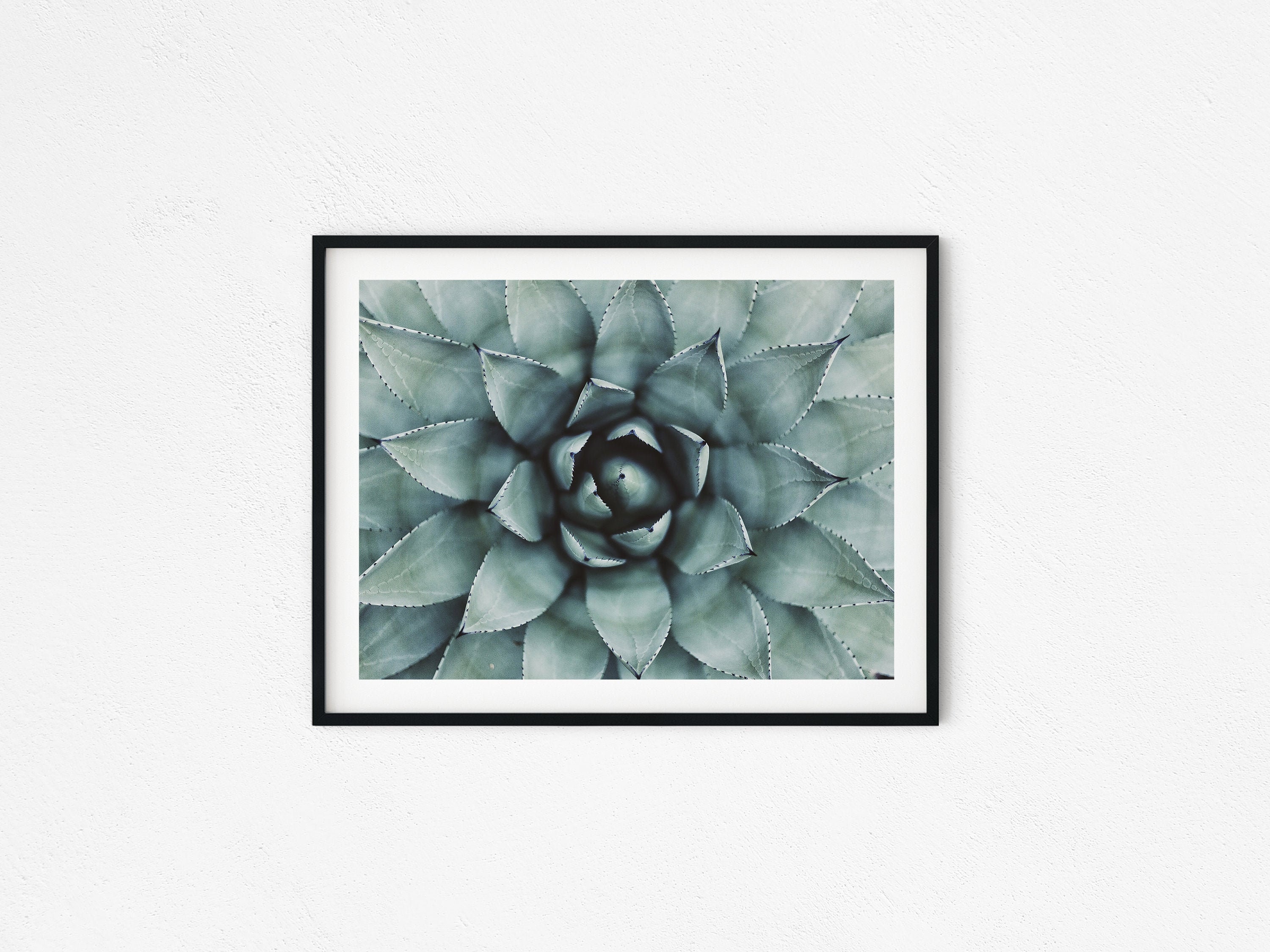 Succulent Art Print, Coastal Wall Decor (digital Download) - Etsy