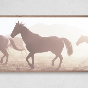 Samsung Frame TV Art, Running Horses, Instant Download, Hay, Frame TV Art, Samsung Art TV, Digital Download for Samsung Frame