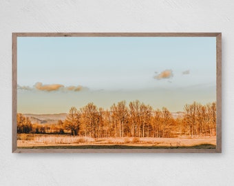 Samsung TV - Seasons