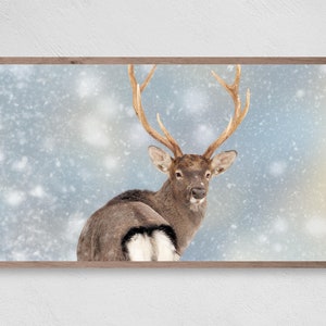 Reindeer Blizzaard, Samsung Frame TV Art, Instant Download, Winter, Christmas, Reindeer, Frame TV Art, Samsung Art TV, Digital Download