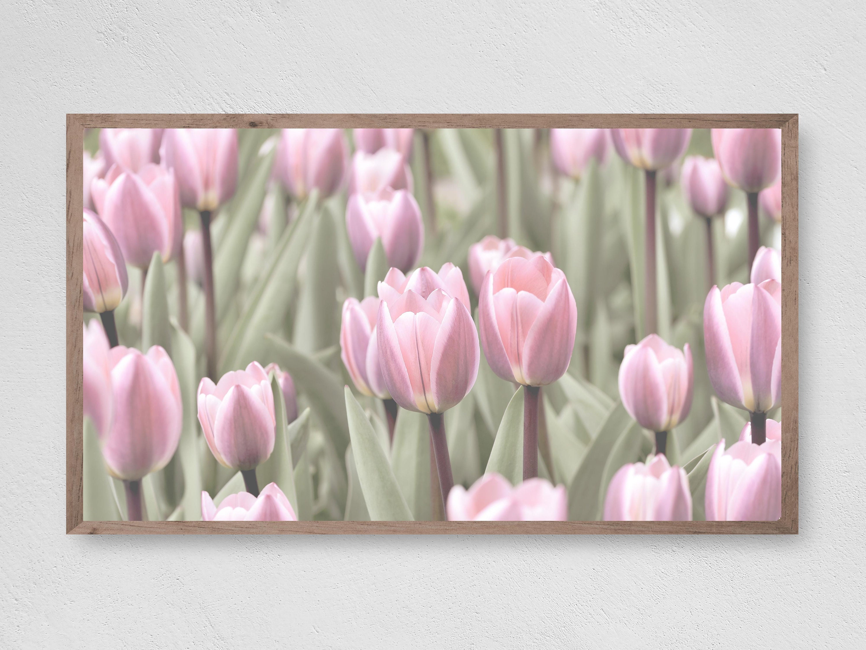 Samsung Frame TV Art, Spring Tulips, Instant Download