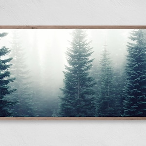 Woodland Mist, Samsung Frame TV Art, Instant Download, Trees, Frame TV Art, Samsung Art TV, Digital Download for Samsung Frame