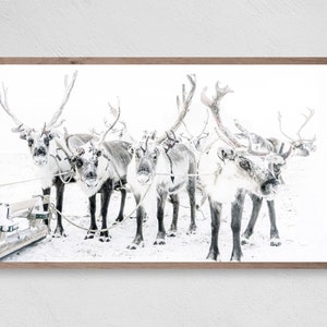 Reindeer Snow Group, Samsung Frame TV Art, Instant Download, Winter, Christmas, Reindeer, Frame TV Art, Samsung Art TV, Digital Download
