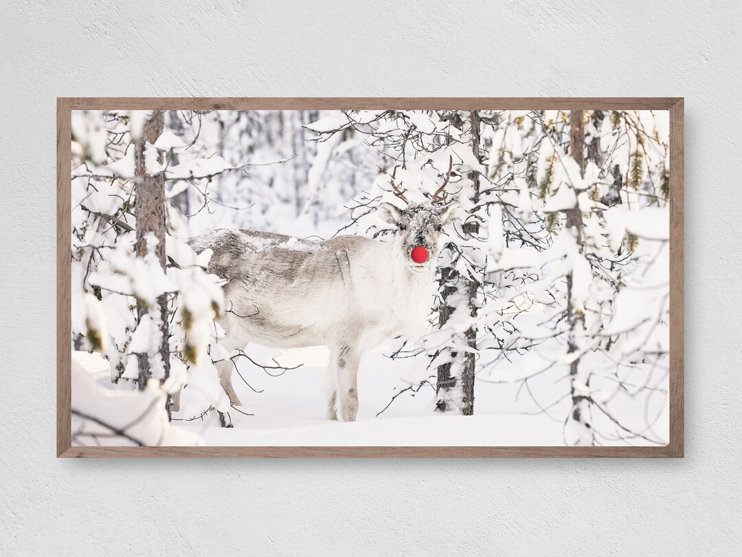 Winter Rudolf Rudolf in the Snow, Samsung Frame TV Art, Instant Download, Winter ...