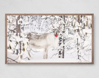 Rudolf in the Snow, Samsung Frame TV Art, Instant Download, Winter, Christmas, Frame TV Art, Samsung Art TV, Digital Download