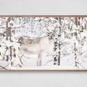 Cutie Reindeer in the Snow, Samsung Frame TV Art, Instant Download, Winter, Christmas, Frame TV Art, Samsung Art TV, Digital Download
