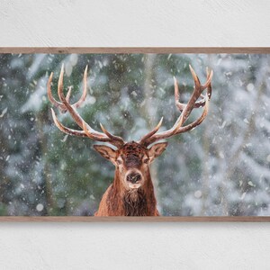Winter Reindeer, Samsung Frame TV Art, Instant Download, Winter, Christmas, Snow, Reindeer, Frame TV Art, Samsung Art TV, Digital Download